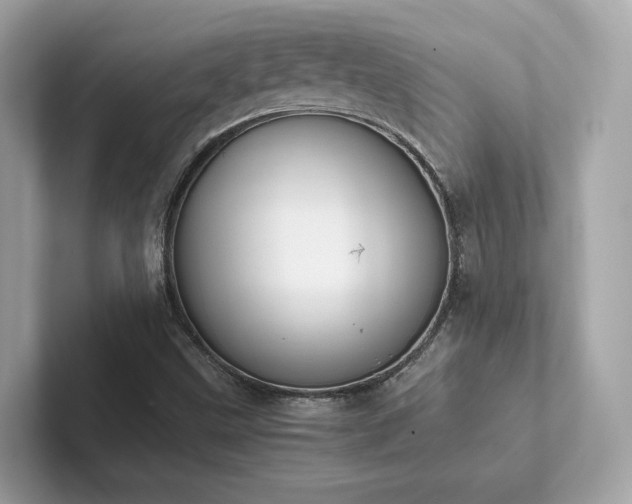 X0000102301499200807251424