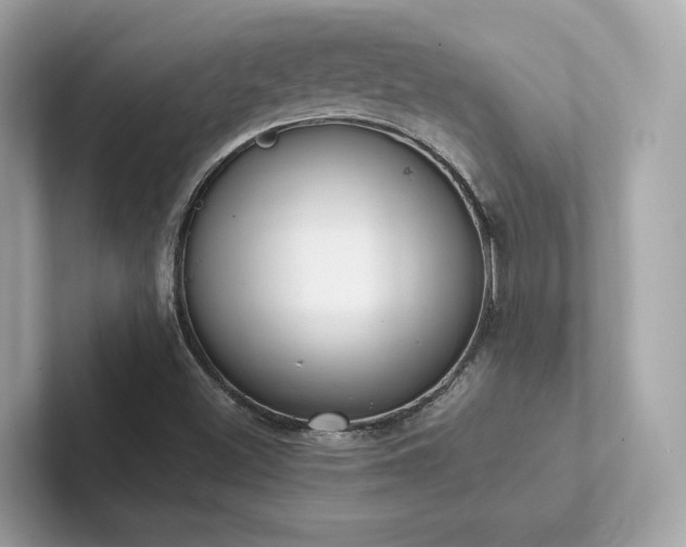 X0000102301500200807251424