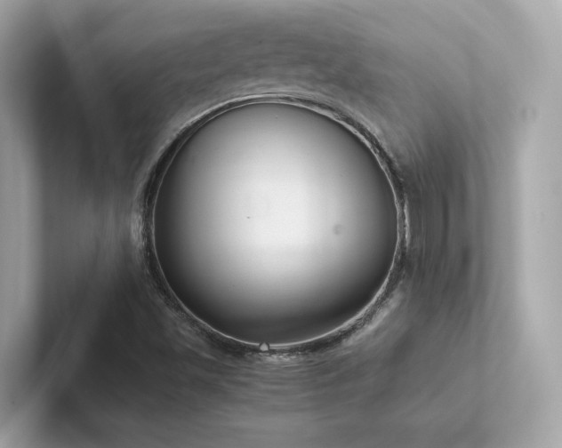 X0000102301501200807251424