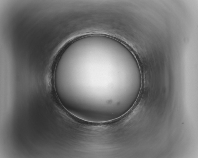 X0000102301502200807251424
