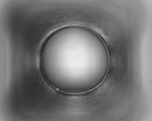 X0000102301504200807251424