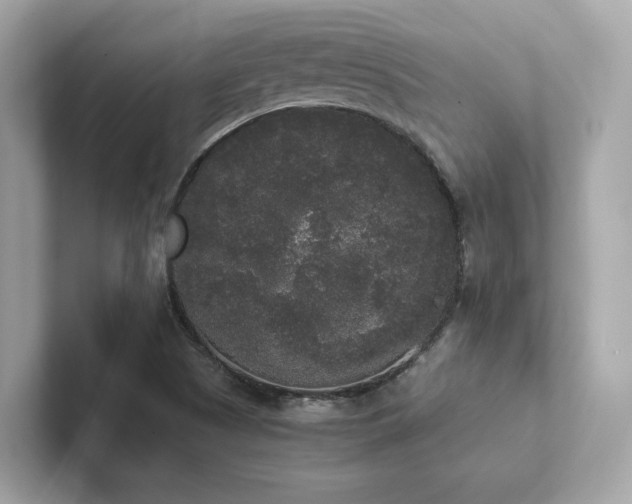 X0000102301505200807251424