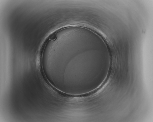 X0000102301506200807251424