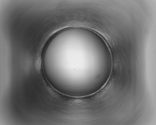 X0000102301507200807251424