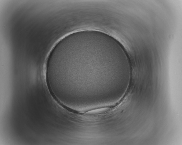 X0000102301508200807251424