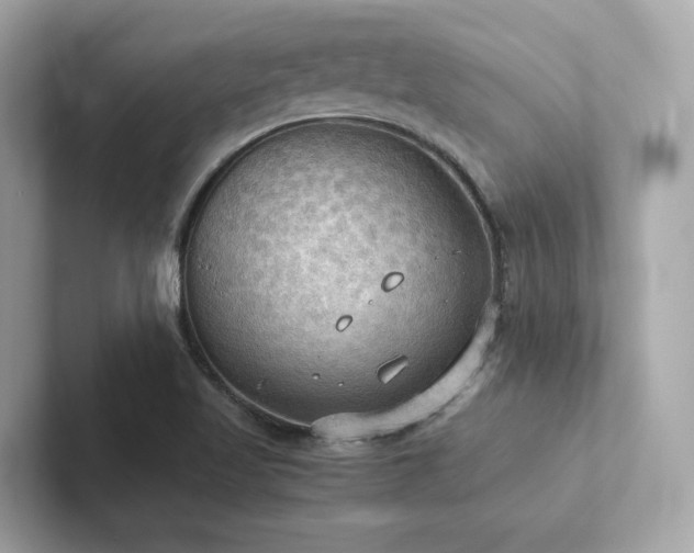 X0000102301509200807251424