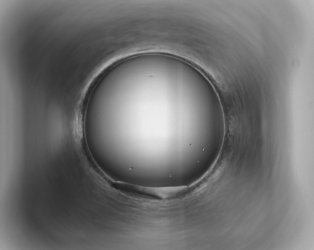 X0000102301510200807251425