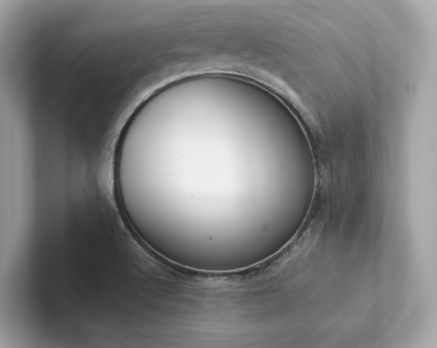 X0000102301512200807251425