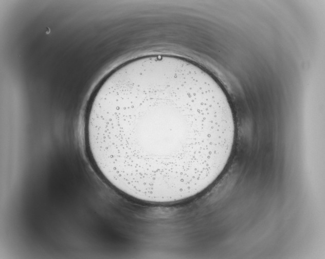 X0000102301514200807251425