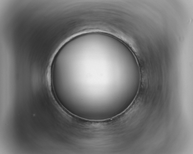 X0000102301516200807251425