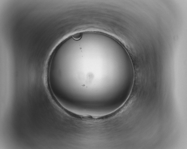 X0000102301518200807251425