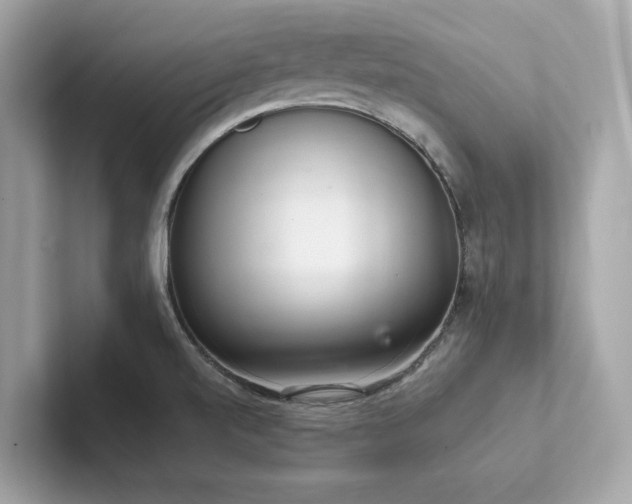 X0000102301520200807251425