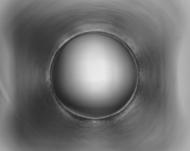 X0000102301521200807251425