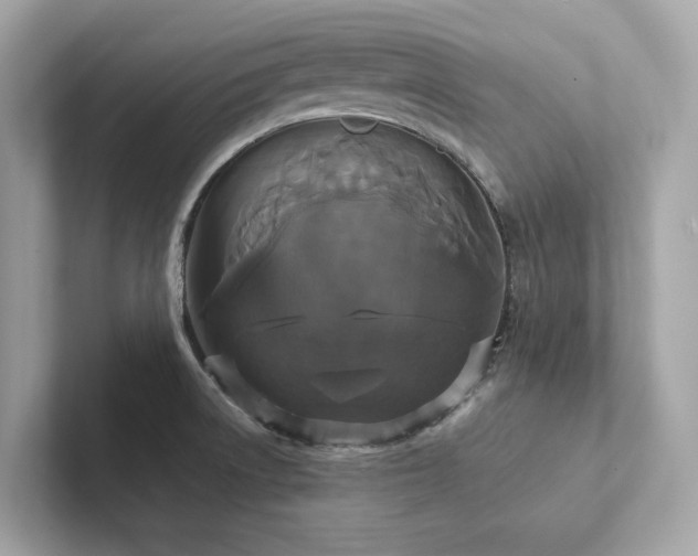 X0000102301522200807251425