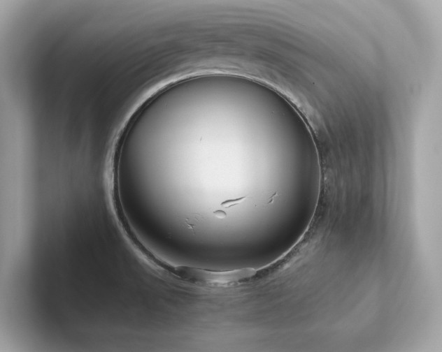 X0000102301523200807251425