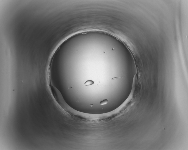 X0000102301524200807251425