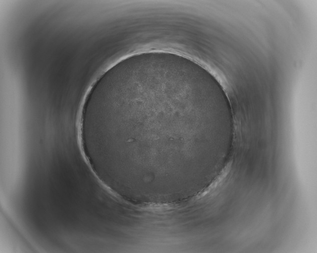 X0000102301525200807251425