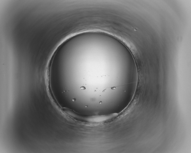 X0000102301526200807251425