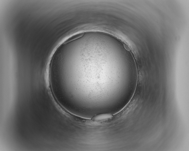 X0000102301528200807251425
