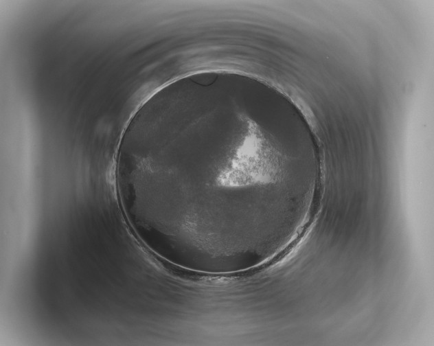 X0000102301529200807251425