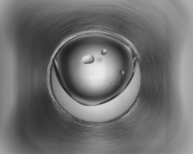 X0000102301530200807251425