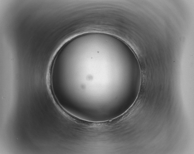 X0000102301531200807251425