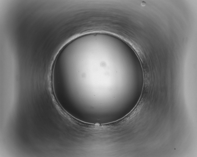 X0000102301534200807251425