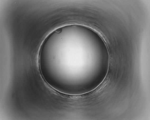 X0000102301535200807251425