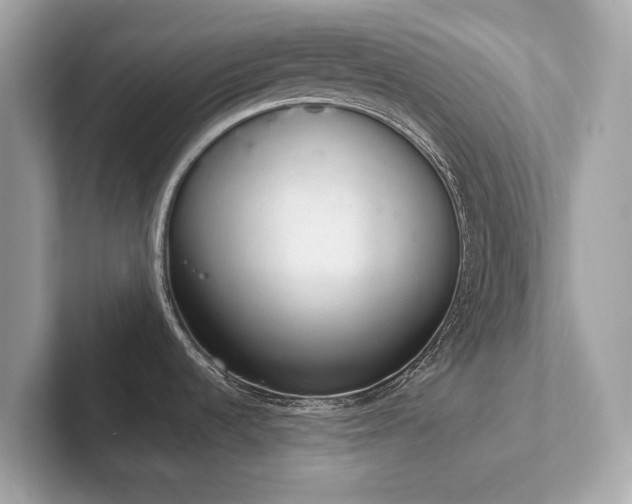 X0000102301536200807251425