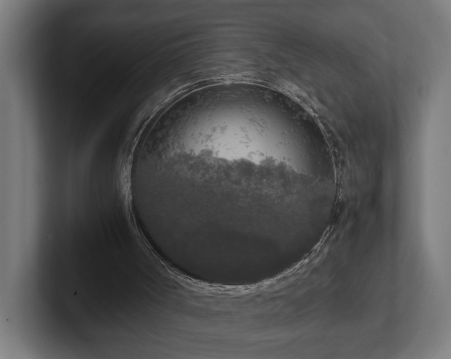 X0000102300002200808011412