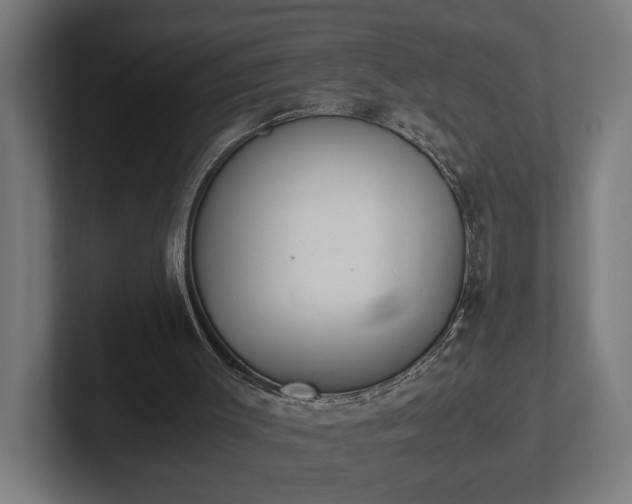 X0000102300003200808011412