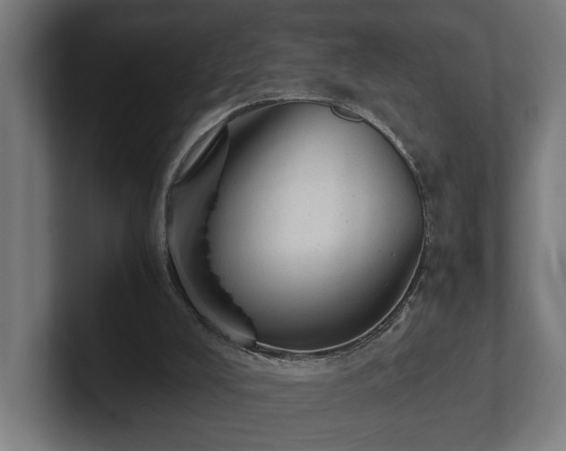 X0000102300008200808011412