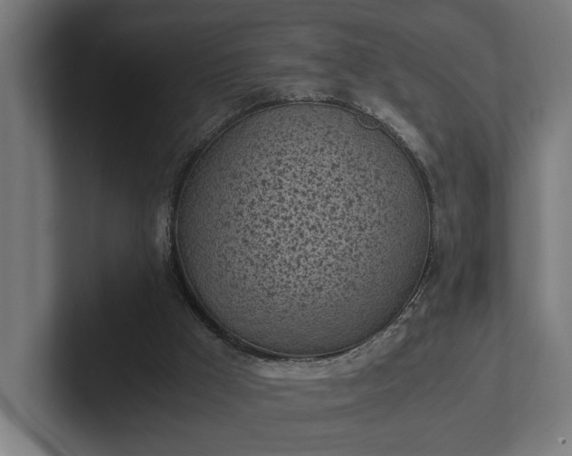 X0000102300009200808011412