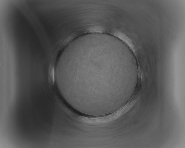 X0000102300013200808011412