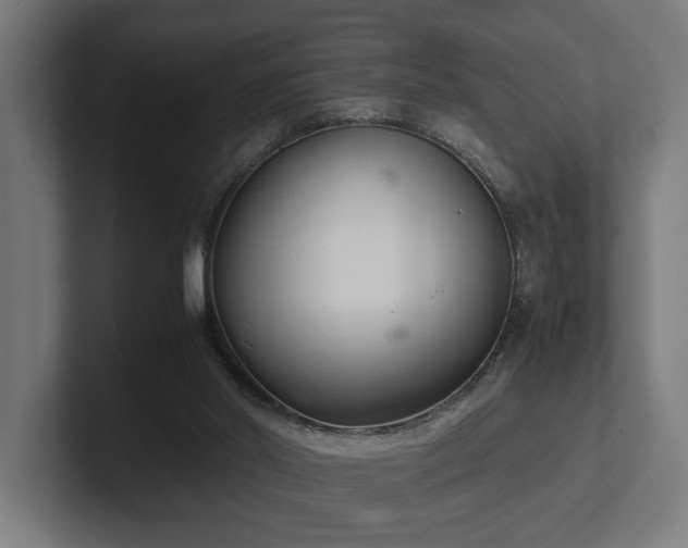 X0000102300014200808011412