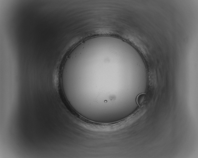 X0000102300015200808011412