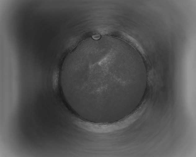 X0000102300018200808011412