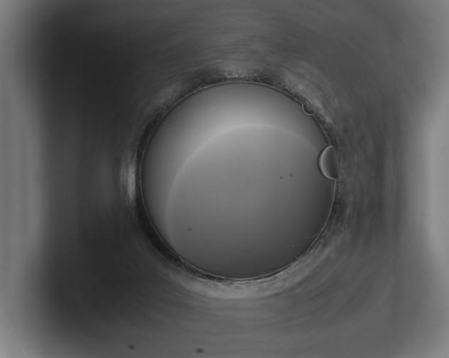 X0000102300019200808011412