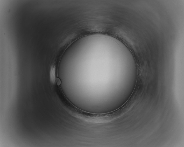 X0000102300020200808011412