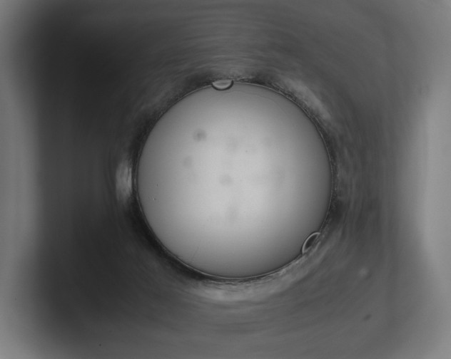 X0000102300021200808011412