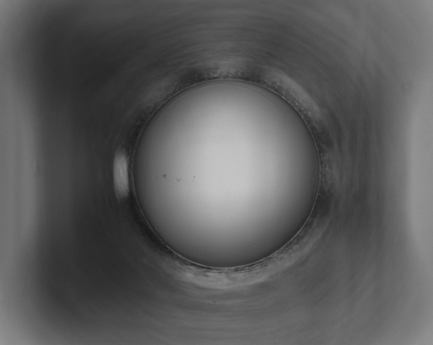 X0000102300022200808011412