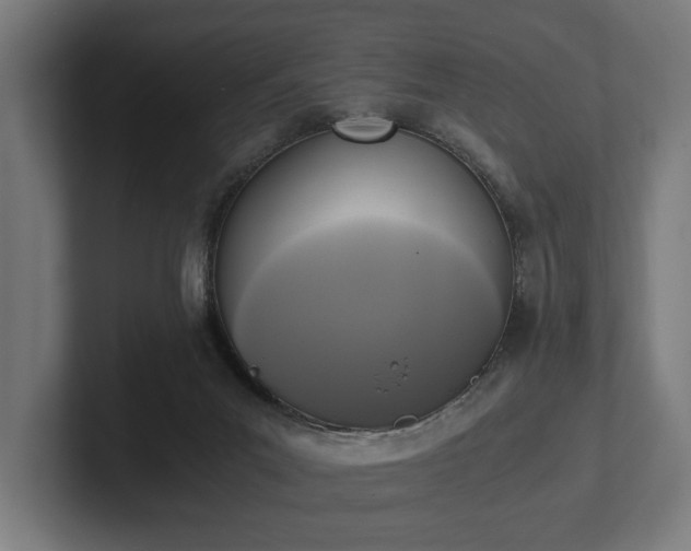 X0000102300023200808011412