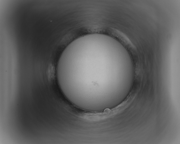 X0000102300025200808011412