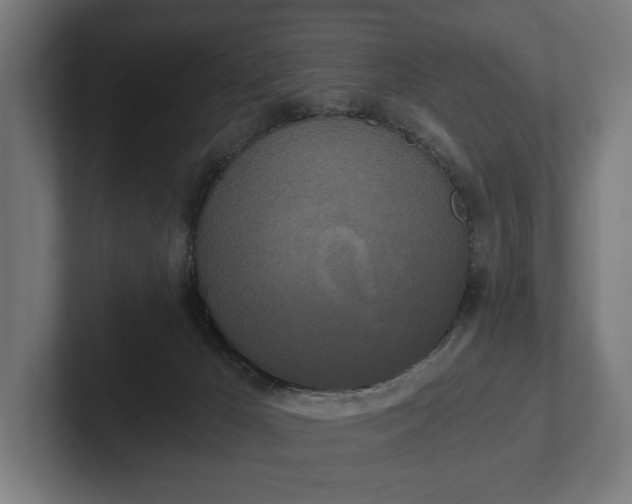 X0000102300029200808011412