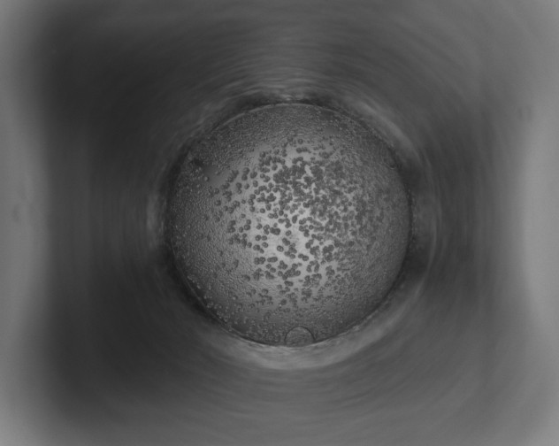 X0000102300030200808011411