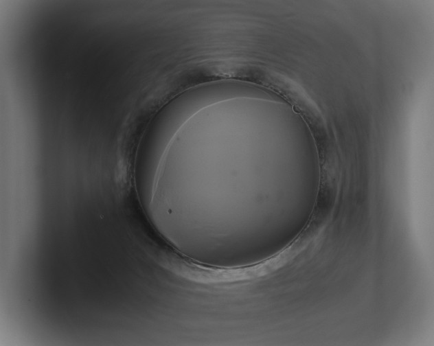 X0000102300031200808011411