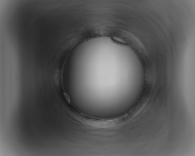 X0000102300036200808011411