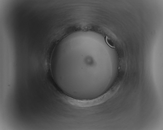 X0000102300039200808011411