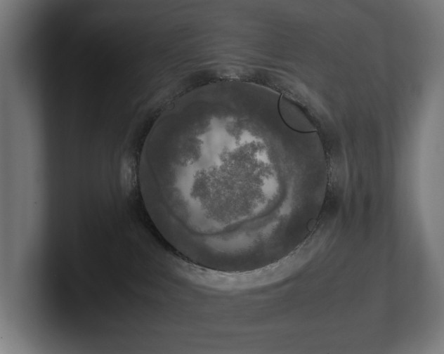 X0000102300043200808011411