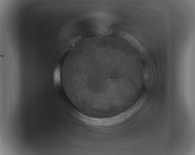 X0000102300046200808011411